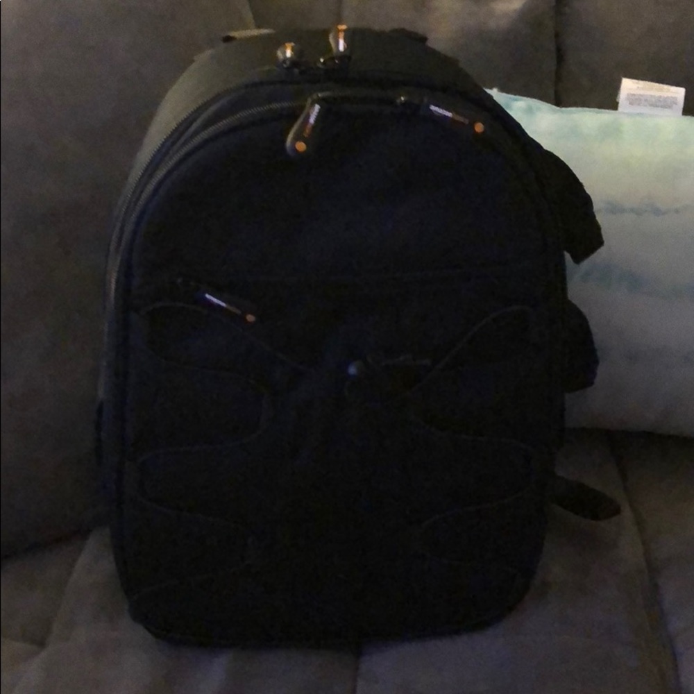 Amazon Basics DSLR camera bag